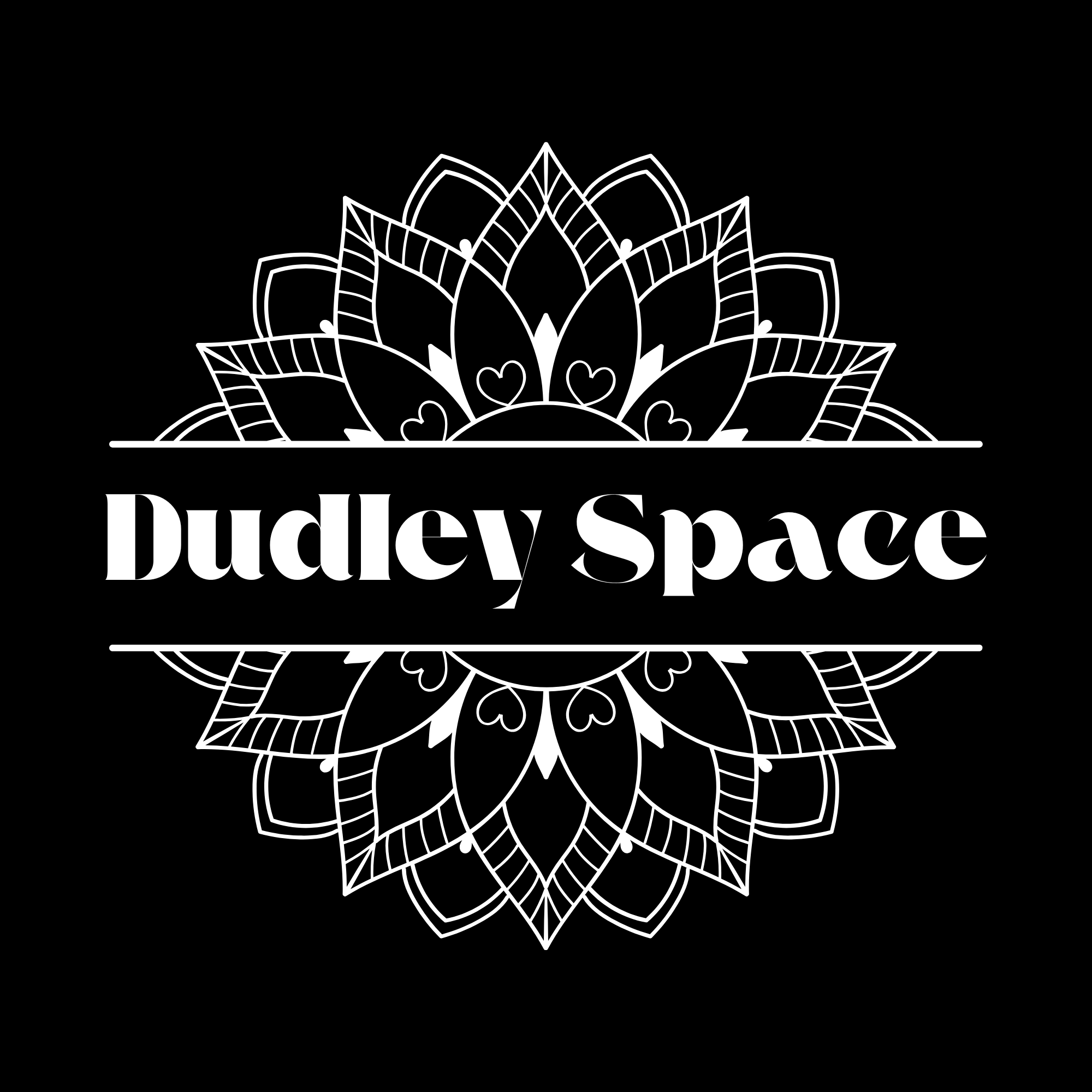 Dudley Space Store Logo